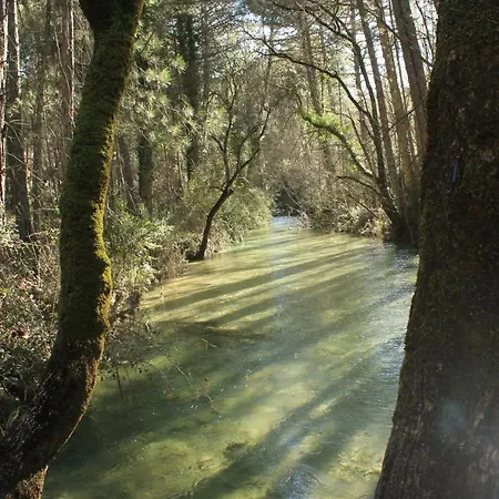 Complejo Turistico Puente De Las Herrerias Campsite Cazorla